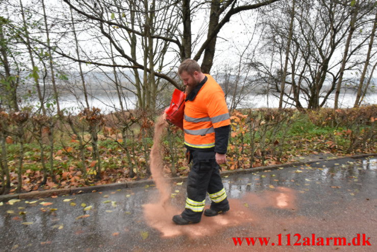 Dieselolie på rastepladsen. Ribe Landevej i Vejle. 15/11-2021. KL. 10:24.