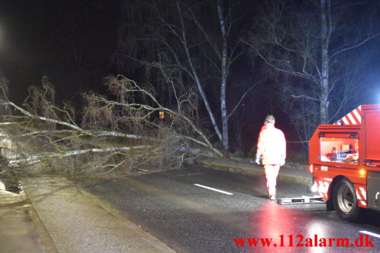 Væltet træ spærret vejen. Grejsdalsvej i Grejsdalen. 01/02-2022. KL. 21:00.