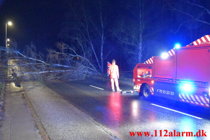 Væltet træ spærret vejen. Grejsdalsvej i Grejsdalen. 01/02-2022. KL. 21:00.