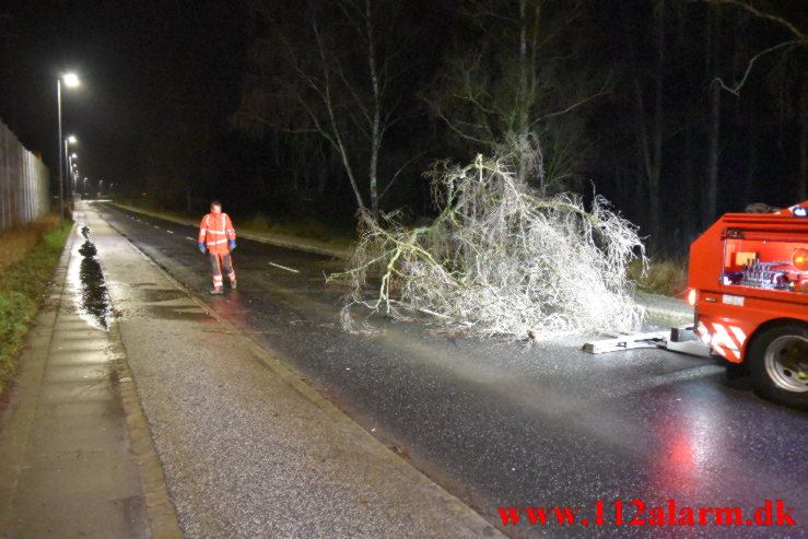 Væltet træ spærret vejen. Grejsdalsvej i Grejsdalen. 01/02-2022. KL. 21:00.