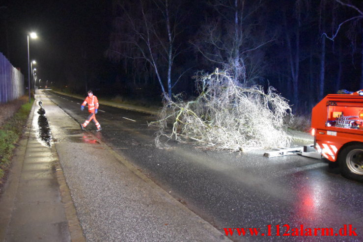 Væltet træ spærret vejen. Grejsdalsvej i Grejsdalen. 01/02-2022. KL. 21:00.