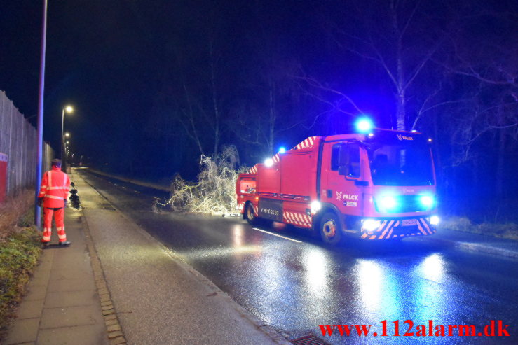 Væltet træ spærret vejen. Grejsdalsvej i Grejsdalen. 01/02-2022. KL. 21:00.