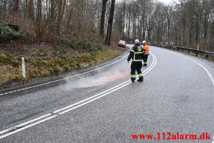 Havnet omme på side. Jellingvej ved Hover. 21/02-2022. KL. 08:03.