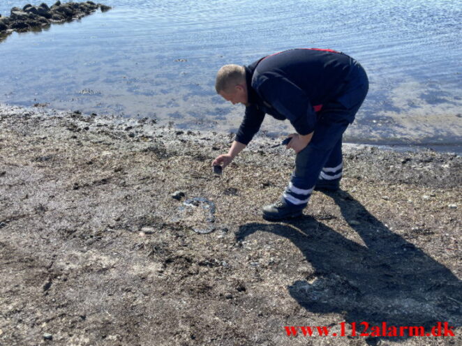 Der blev funder olie på stranden. Tirsbæk Strand. 16/04-2022. Kl. 13:59.