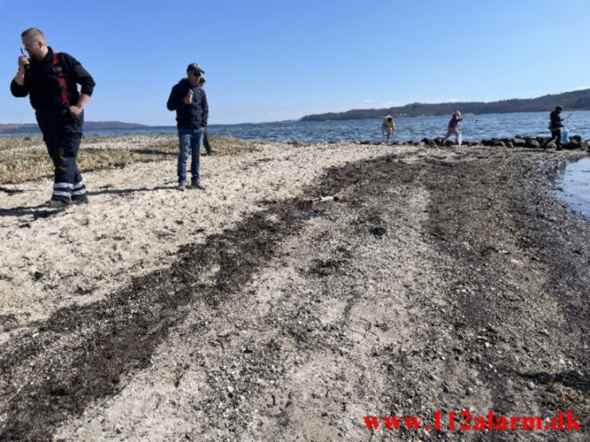 Der blev funder olie på stranden. Tirsbæk Strand. 16/04-2022. Kl. 13:59.