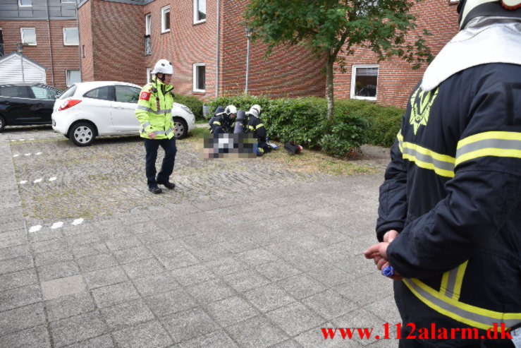 Ild i en gryde. Rønnen i Vejle Ø. 13/07-2022. KL. 08:51.