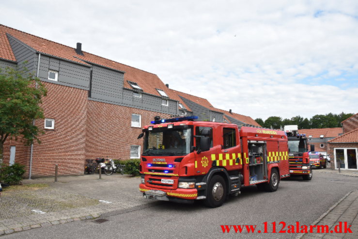 Ild i en gryde. Rønnen i Vejle Ø. 13/07-2022. KL. 08:51.