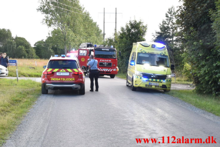 Fuh med Fastklemte. Hærvejen ved Randbøl. 29/07-2022. KL. 17:27.