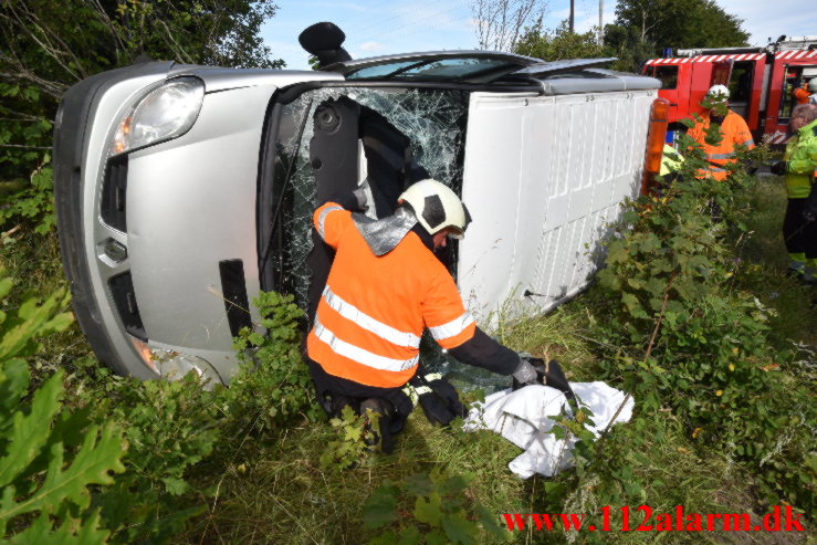 Fuh med Fastklemte. Hærvejen ved Randbøl. 29/07-2022. KL. 17:27.