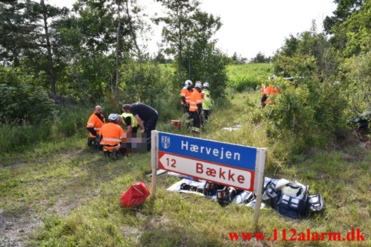 Fuh med Fastklemte. Hærvejen ved Randbøl. 29/07-2022. KL. 17:27.