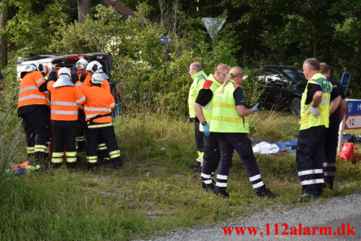 Fuh med Fastklemte. Hærvejen ved Randbøl. 29/07-2022. KL. 17:27.