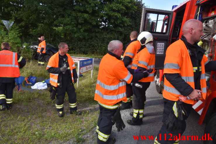 Fuh med Fastklemte. Hærvejen ved Randbøl. 29/07-2022. KL. 17:27.