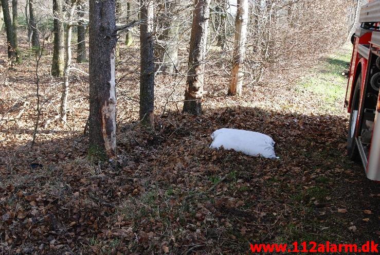 Ældre dame ramte 4 træer. Nørupvej ved Gadbjerg. 27/04-2013. Kl. 07:44.