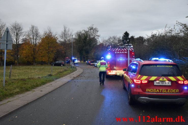 Bilen ramte et stort træ. De Lichtenbergs i Nørup. 08/11-2022. Kl. 16:01.