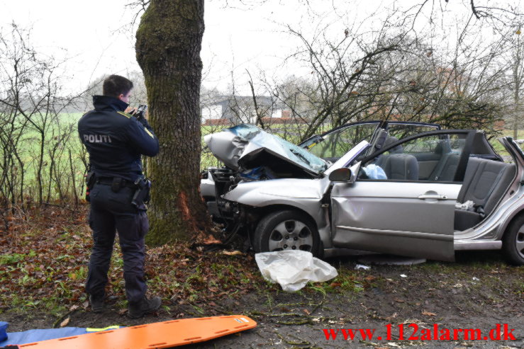 Bil ramte et træ. Verstvej i Egtved. 24/11-2022. KL. 009:21.