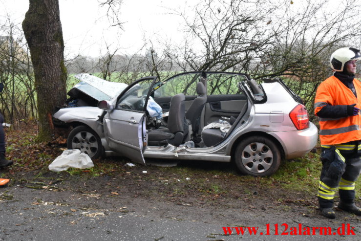 Bil ramte et træ. Verstvej i Egtved. 24/11-2022. KL. 009:21.