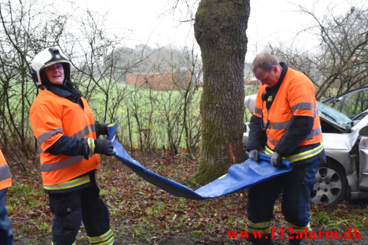 Bil ramte et træ. Verstvej i Egtved. 24/11-2022. KL. 009:21.