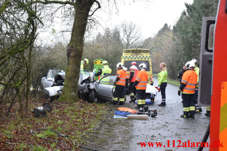 Bil ramte et træ. Verstvej i Egtved. 24/11-2022. KL. 009:21.