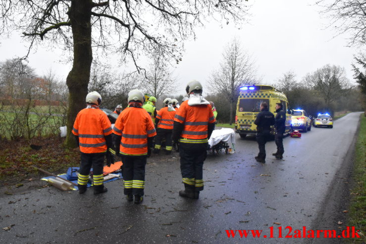 Bil ramte et træ. Verstvej i Egtved. 24/11-2022. KL. 009:21.