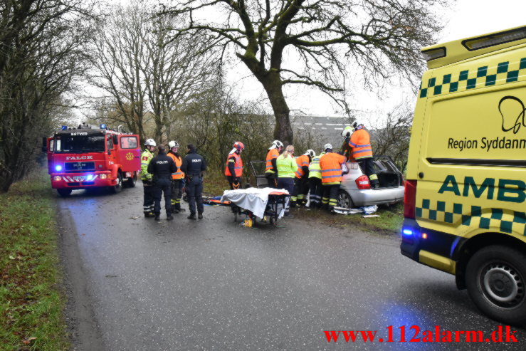 Bil ramte et træ. Verstvej i Egtved. 24/11-2022. KL. 009:21.