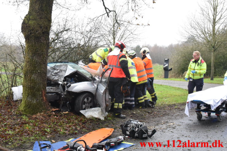 Bil ramte et træ. Verstvej i Egtved. 24/11-2022. KL. 009:21.