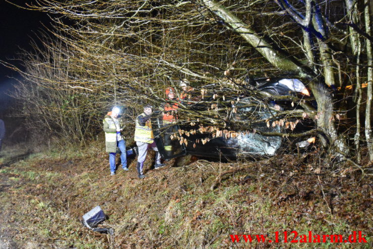 Havnede inde mellem nogle træer. Jellingvej ved Vejle. 27/12-2022. KL. 06:49.