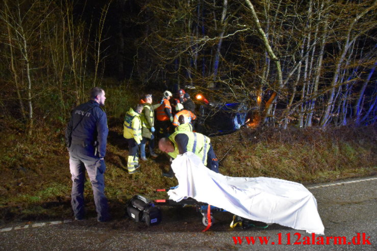 Havnede inde mellem nogle træer. Jellingvej ved Vejle. 27/12-2022. KL. 06:49.