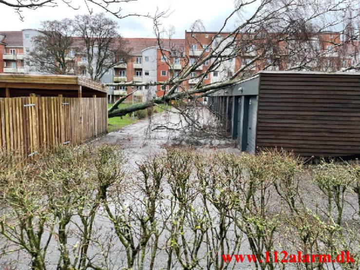 Kraftigt blæsevejr Mindegade i Vejle. 15/01-2023. KL. 14:00.