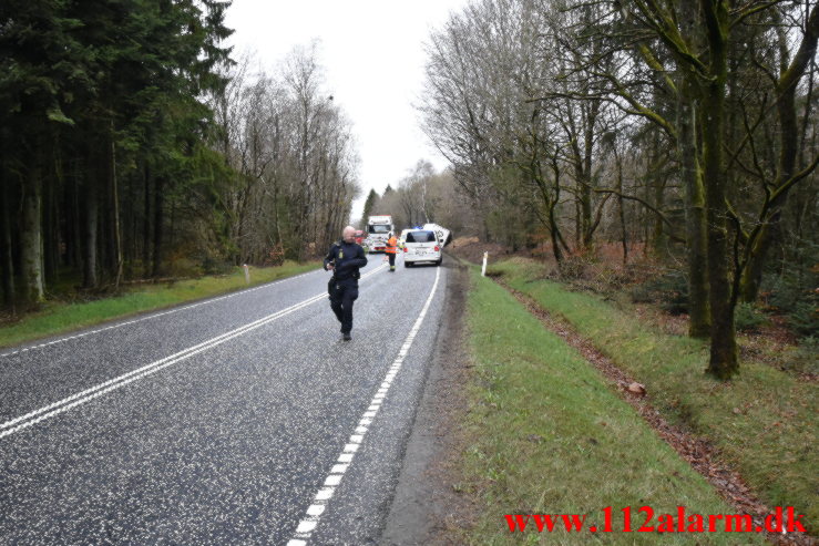 Lastbil ramte flere træer. Tykhøjenvej ved Farre. 11/04-2023. Kl. 09:51.