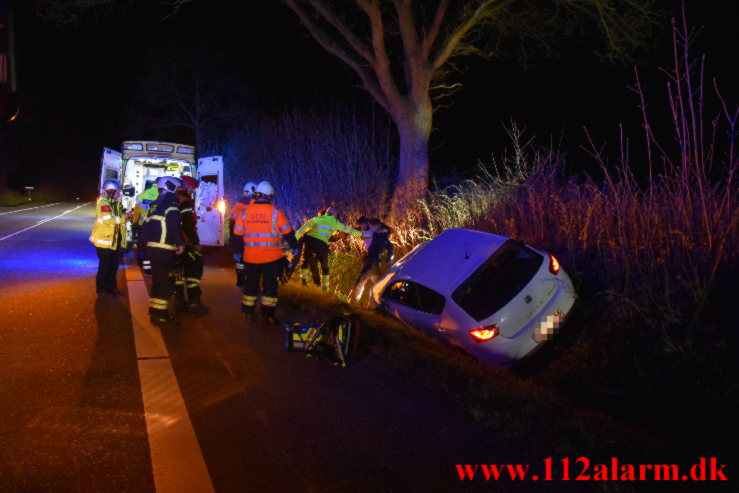 Undveg et rådyr. Koldingvej ved Vejle. 26/04-2023. Kl. 00:23.