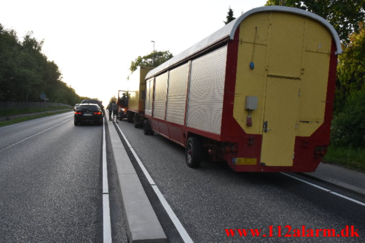 Cirkus i trafikken på Fredericiavej I Vejle. 31/05-2023. KL. 20:15.