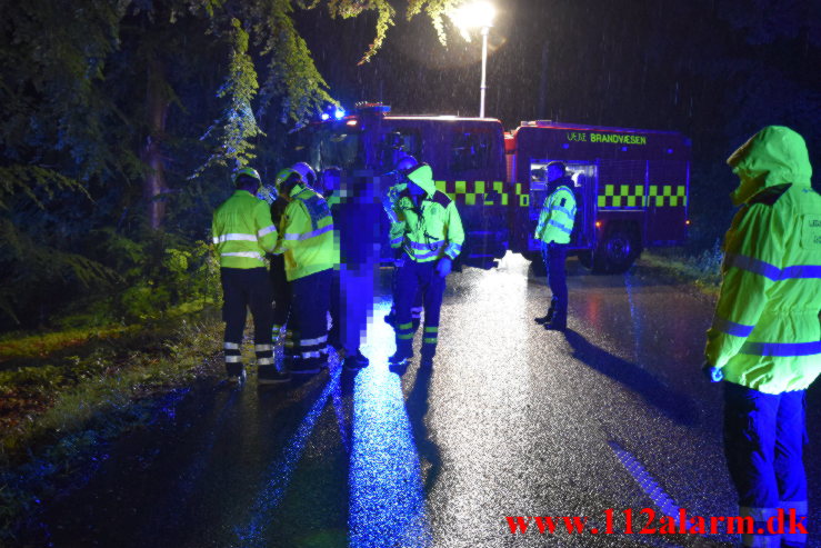 Ramte et træ inde i skoven. Munkebjergvej i Vejle. 04/07-2023. Kl. 01:37.