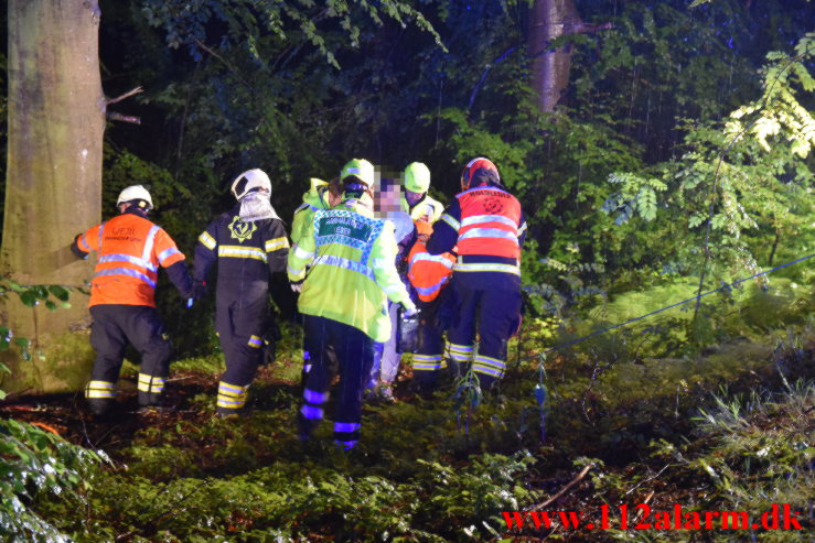 Ramte et træ inde i skoven. Munkebjergvej i Vejle. 04/07-2023. Kl. 01:37.