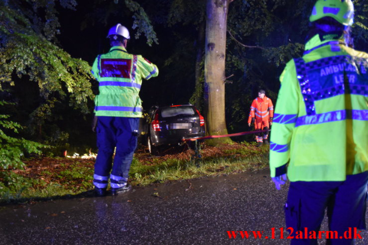 Ramte et træ inde i skoven. Munkebjergvej i Vejle. 04/07-2023. Kl. 01:37.