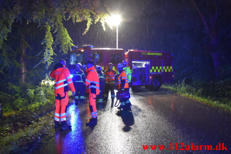 Ramte et træ inde i skoven. Munkebjergvej i Vejle. 04/07-2023. Kl. 01:37.