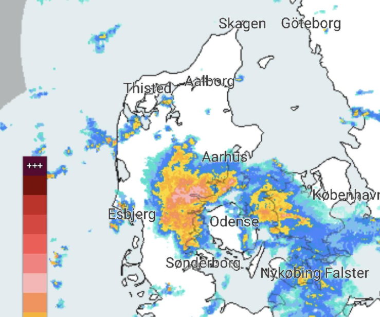 Ramte et træ inde i skoven. Munkebjergvej i Vejle. 04/07-2023. Kl. 01:37.