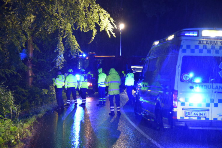 Ramte et træ inde i skoven. Munkebjergvej i Vejle. 04/07-2023. Kl. 01:37.