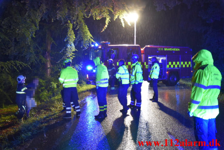 Ramte et træ inde i skoven. Munkebjergvej i Vejle. 04/07-2023. Kl. 01:37.