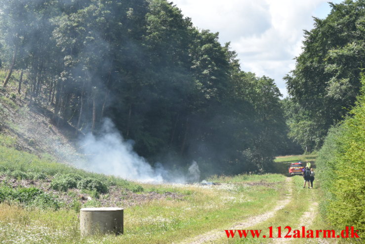 Naturbrand / Halmstak. Vingstedvej ved Bredsten. 17/06-2023. KL. 12:42.