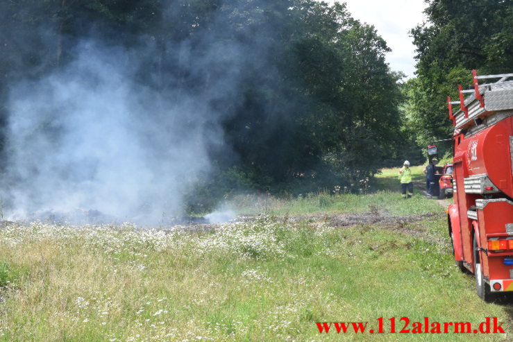 Naturbrand / Halmstak. Vingstedvej ved Bredsten. 17/06-2023. KL. 12:42.