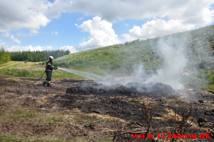 Naturbrand / Halmstak. Vingstedvej ved Bredsten. 17/06-2023. KL. 12:42.