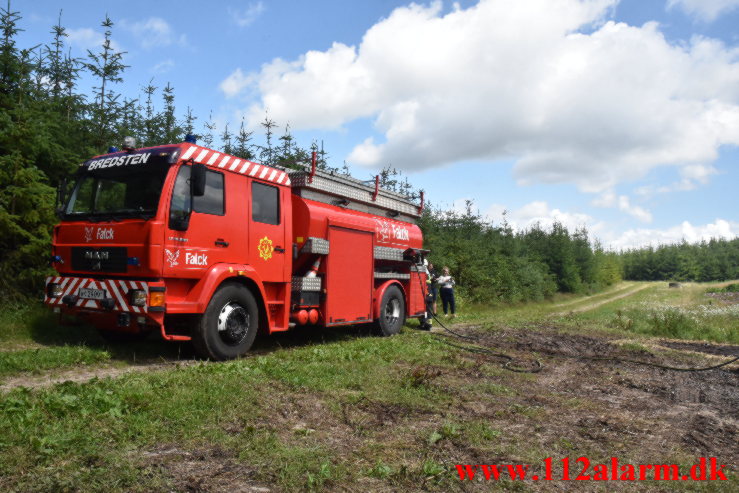 Naturbrand / Halmstak. Vingstedvej ved Bredsten. 17/06-2023. KL. 12:42.