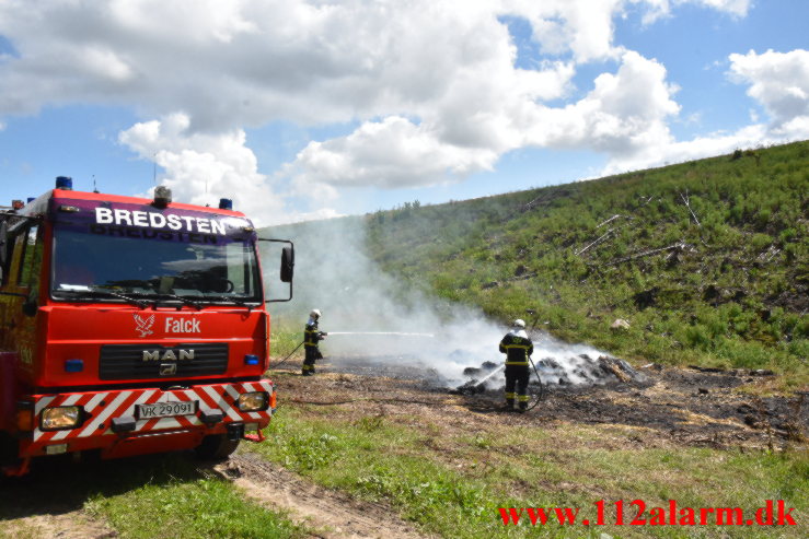 Naturbrand / Halmstak. Vingstedvej ved Bredsten. 17/06-2023. KL. 12:42.