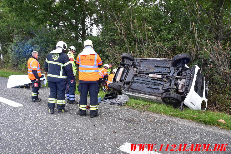 Ramte et træ. Bredstenvej ved Skibet. 05/08-2023. KL. 05:42.