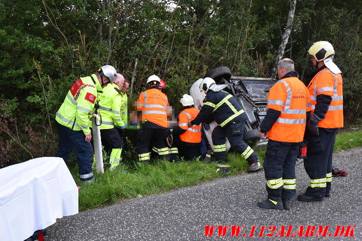 Ramte et træ. Bredstenvej ved Skibet. 05/08-2023. KL. 05:42.