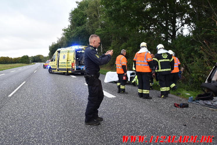 Ramte et træ. Bredstenvej ved Skibet. 05/08-2023. KL. 05:42.