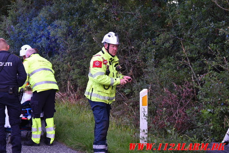 Ramte et træ. Bredstenvej ved Skibet. 05/08-2023. KL. 05:42.