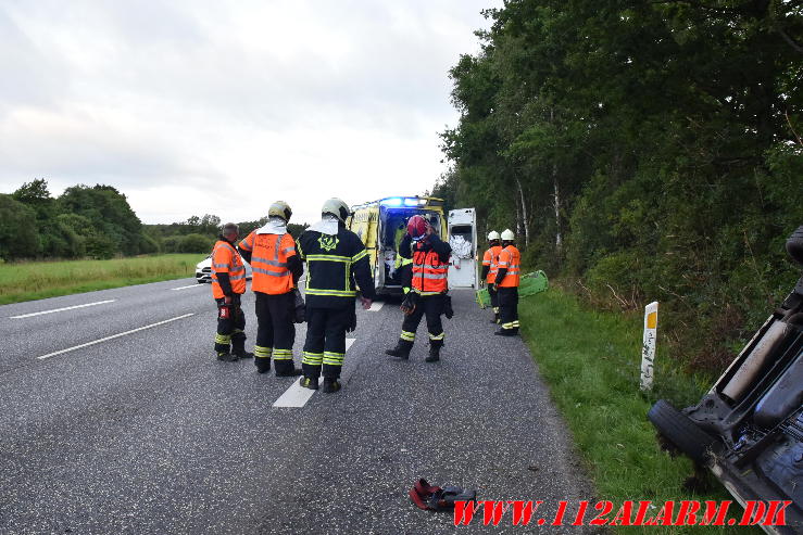 Ramte et træ. Bredstenvej ved Skibet. 05/08-2023. KL. 05:42.