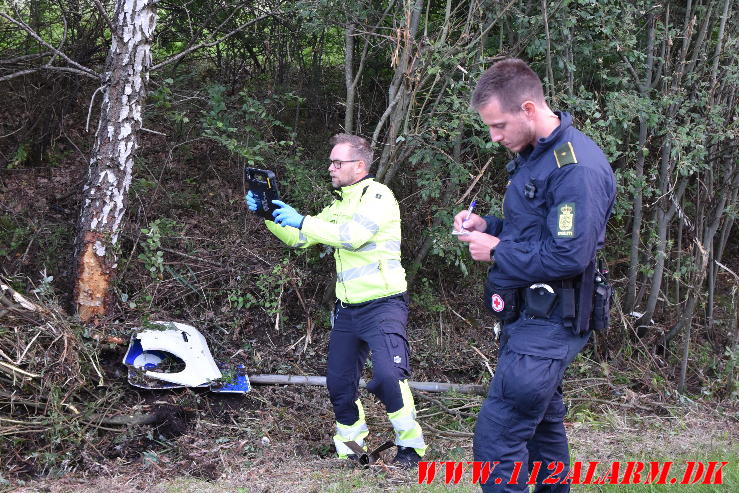 Ramte et træ. Bredstenvej ved Skibet. 05/08-2023. KL. 05:42.