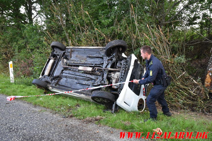 Ramte et træ. Bredstenvej ved Skibet. 05/08-2023. KL. 05:42.